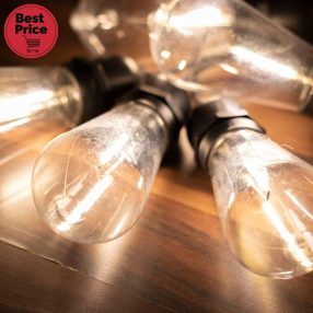   Home LPL 10 PAPAYA filament LED-es fényfüzér, 4,5 m / 10 db melegfehér filament LED, víztiszta búra, sorolható, fekete gumivezeték, adapter, kül- és beltéri kivitel
