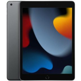 Tablet Apple iPad 10.2 9.Gen (2021) 256GB WiFi - Grey